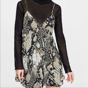 Zara snake print mini dress